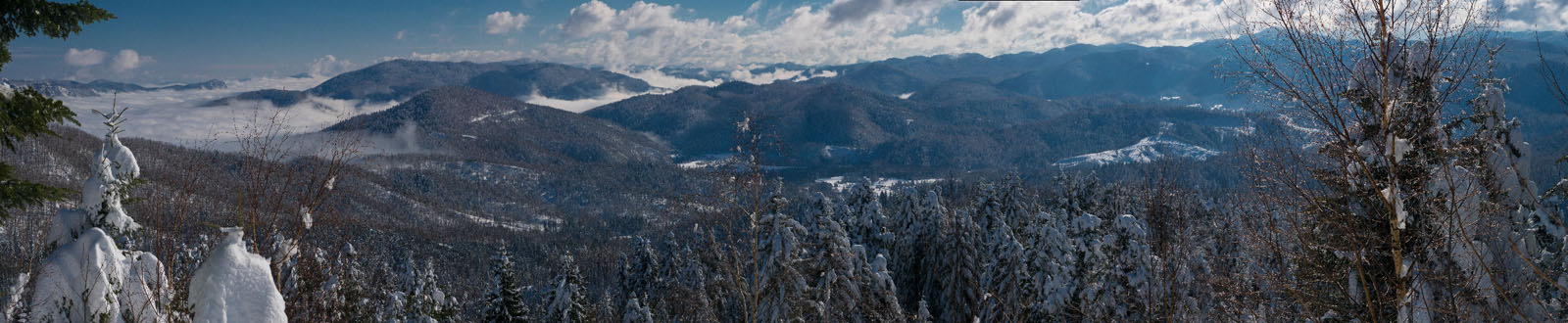 ZIGNANI ZDENAC4 PANORAMA